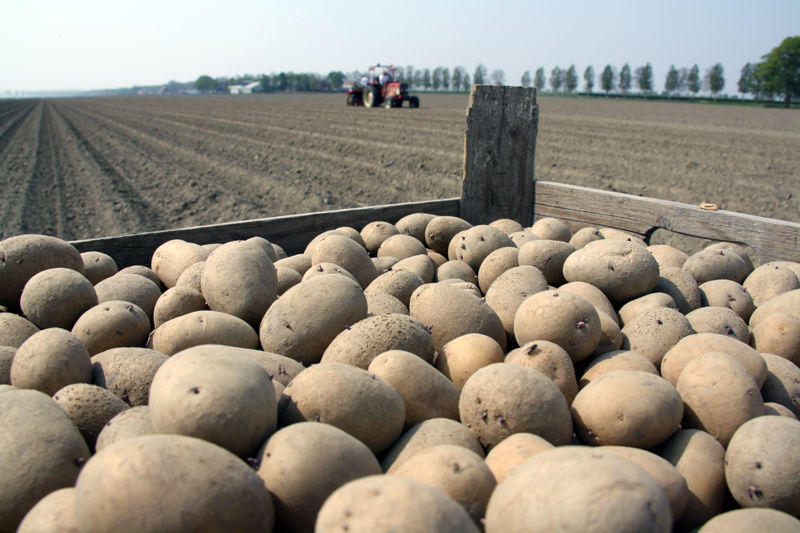 21 04 11 AR Poten Uitgangsmateriaal Zwartemeerweg 0002