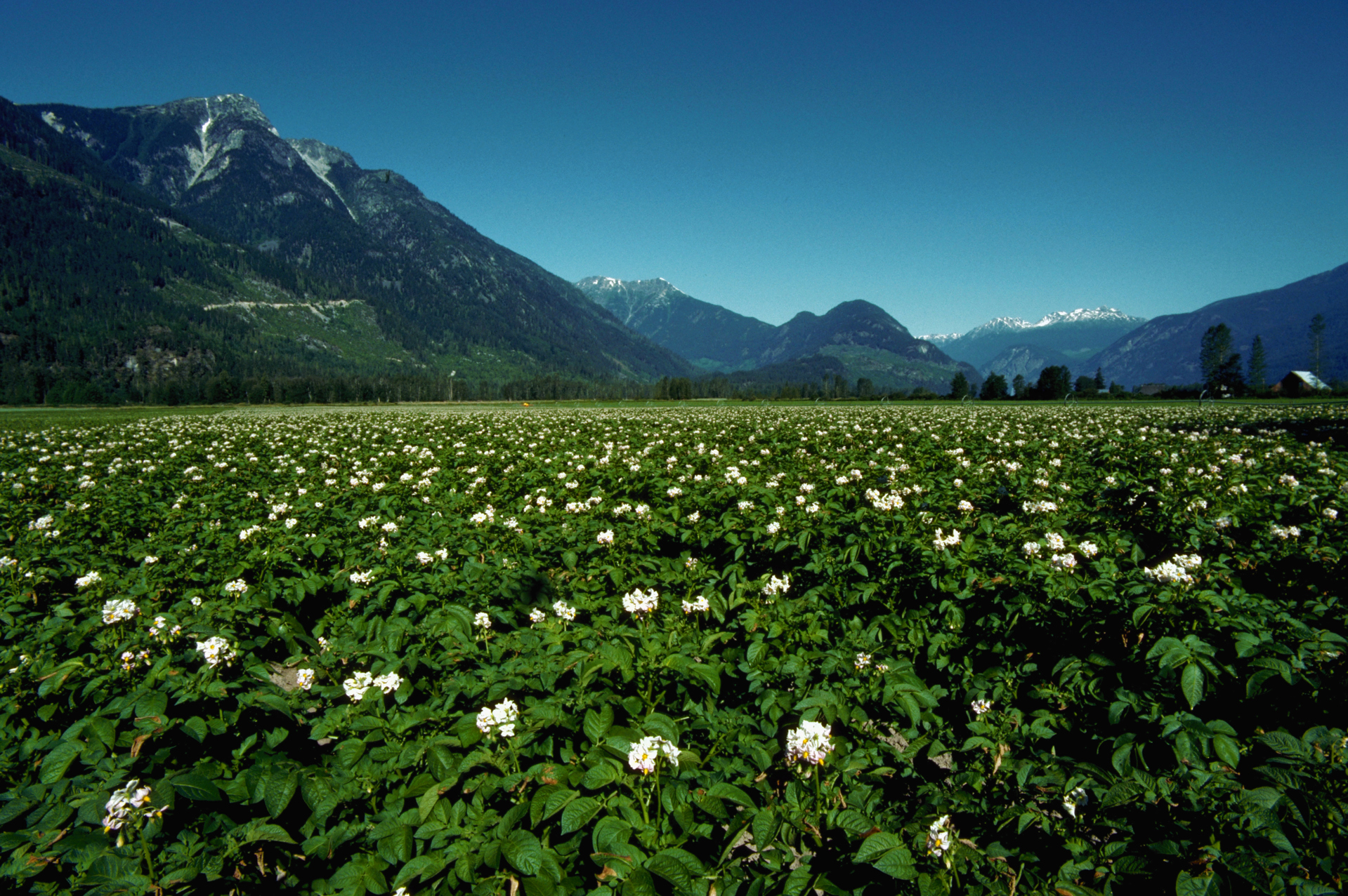 Gettyimages 583647794