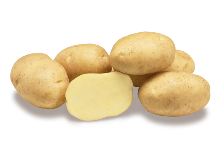 Ontwerp Zonder Titel (13)