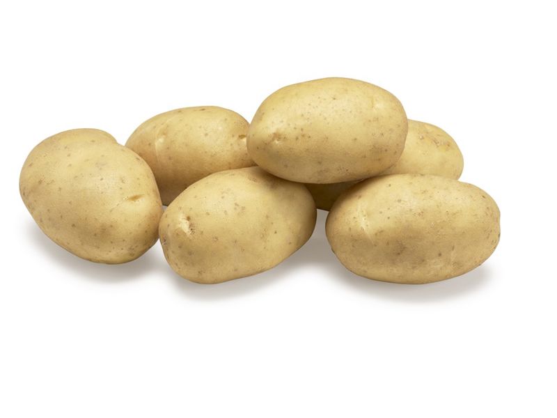 Palace Agrico Nl Hr 2020