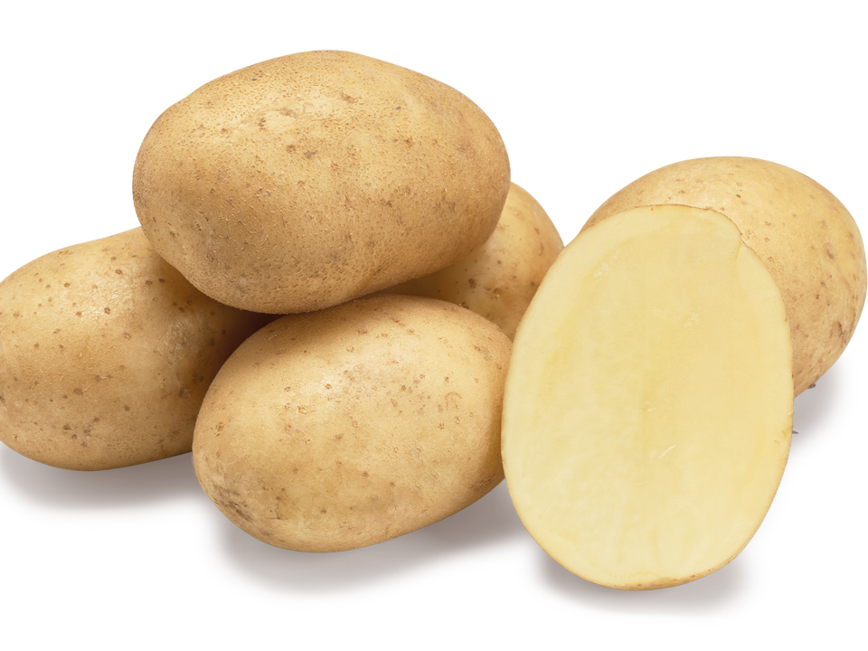 aardappelras-arizona