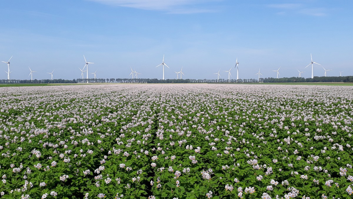 PARADISO COM FLD F©Agrico17 (1)