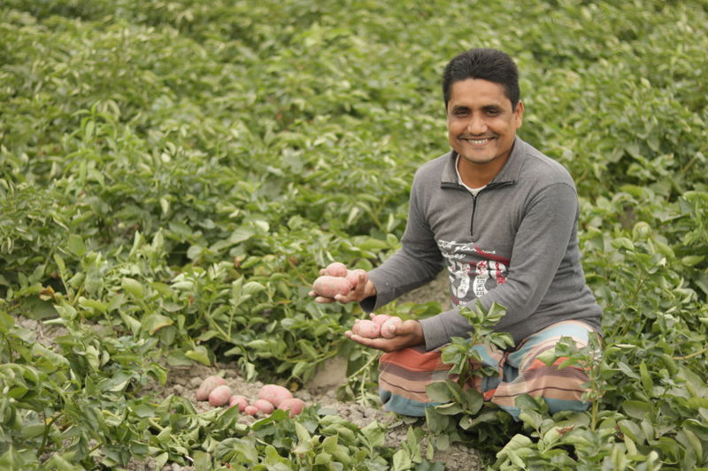 Farmers Satisfaction On Alouette