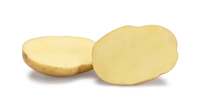 Websitefoto's HR Palace SNG CL©Agrico20