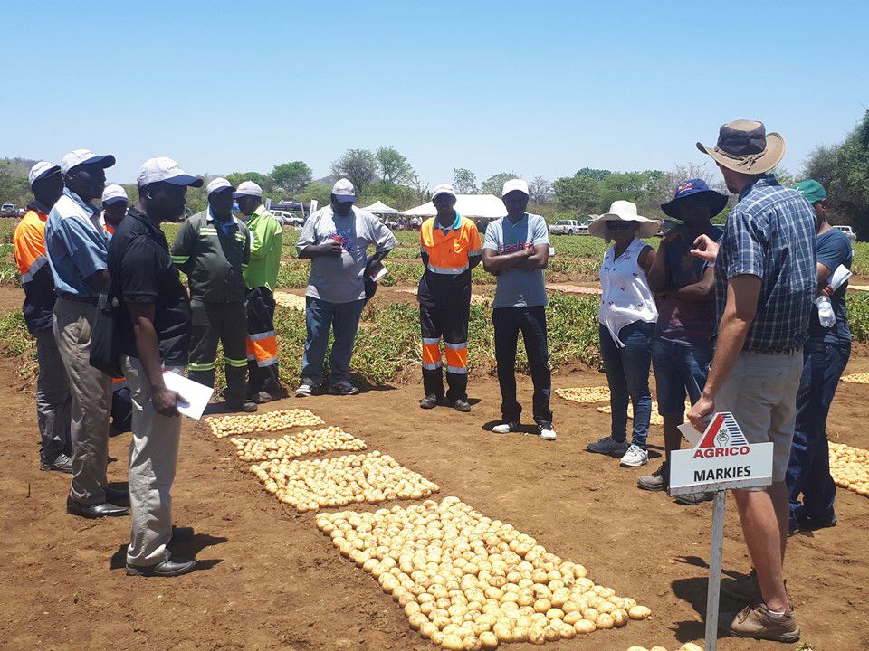 Open Dag Zimbabwe