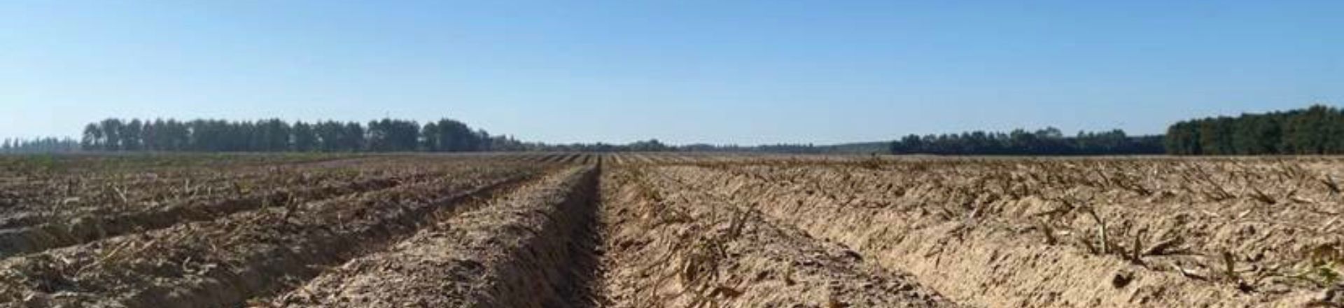 Ukraine field landscape header