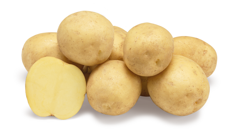 Constance nestje met doorsnee